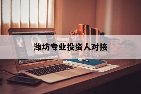蒙自市潍坊专业投资人对接(潍坊专业投资人对接中心)
