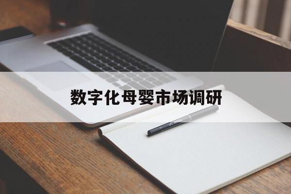 蒙自市数字化母婴市场调研(数字化母婴市场调研报告)